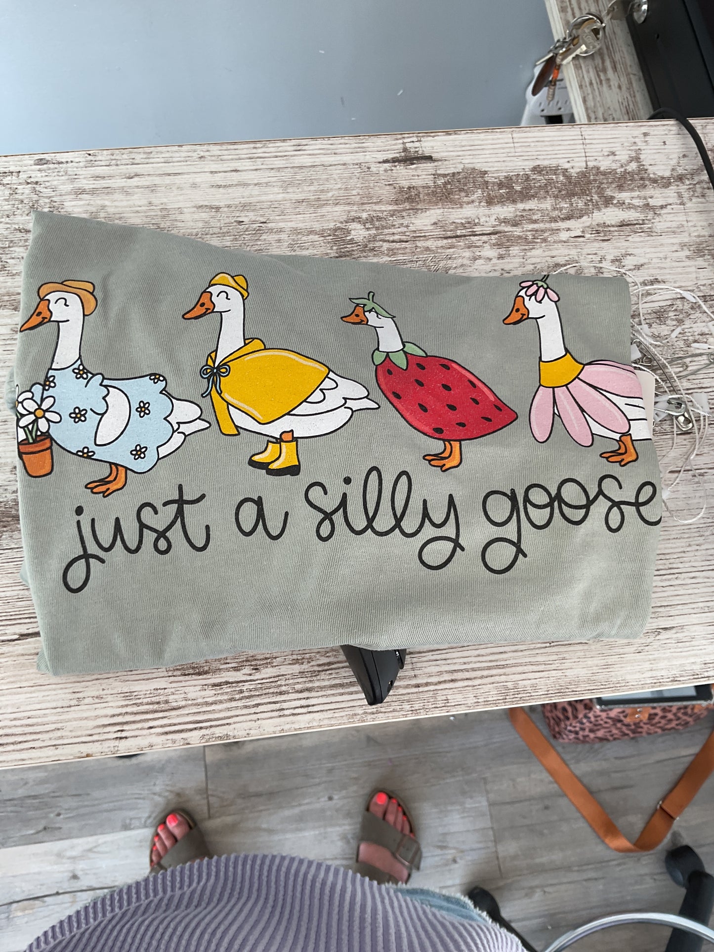 Just a silly goose